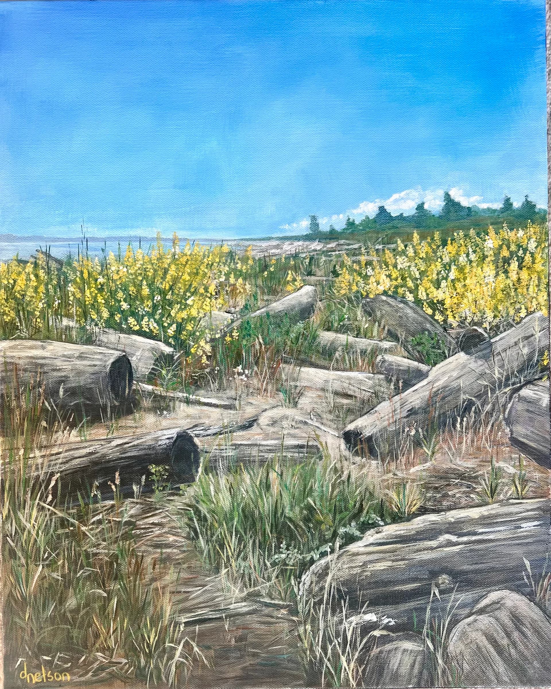 Coastal Solace