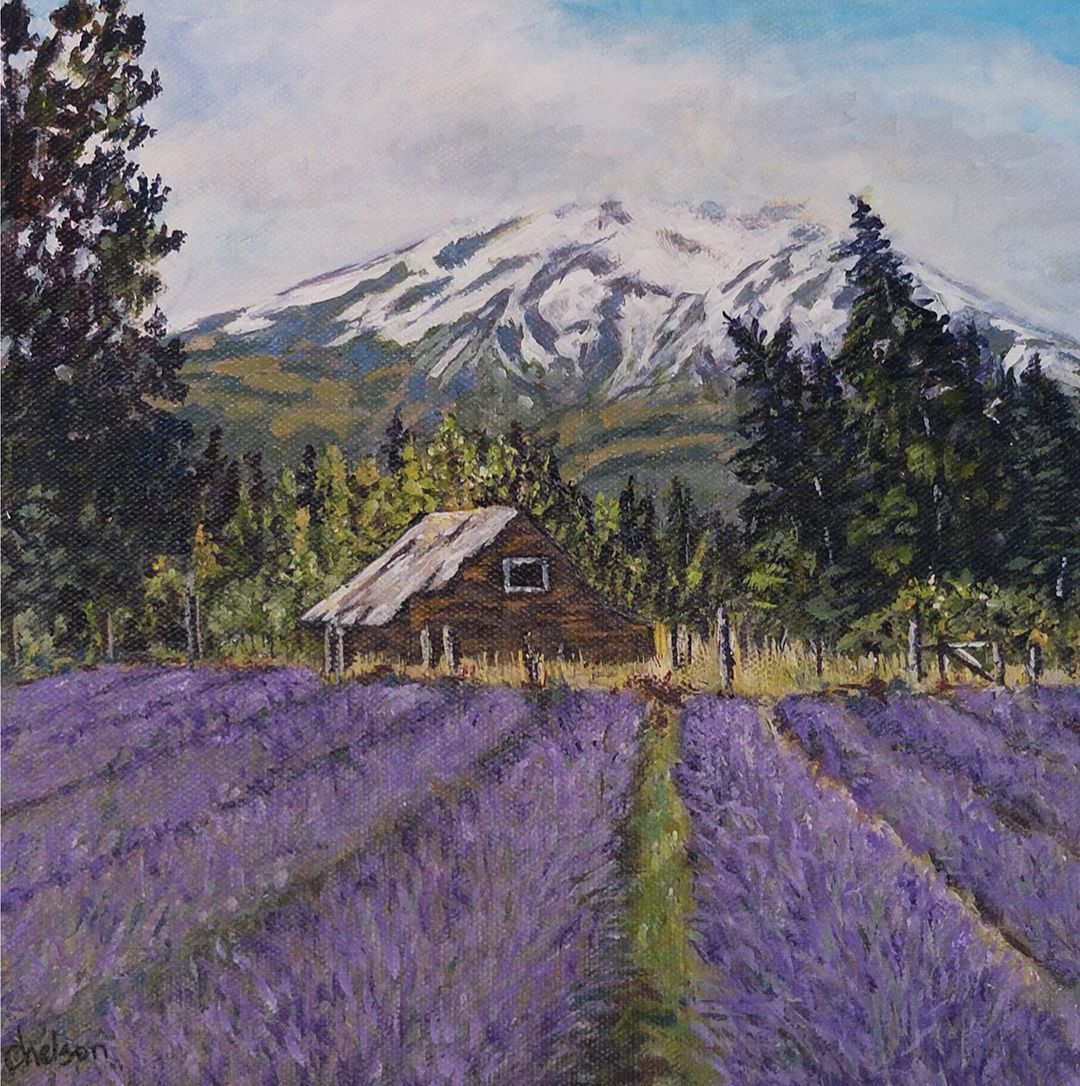 Lavender Fields